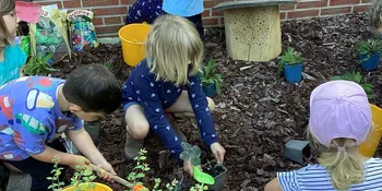 Deutschland summt!-Pflanzwettbewerbs 2025: Foto eines Gewinnerbeitrags