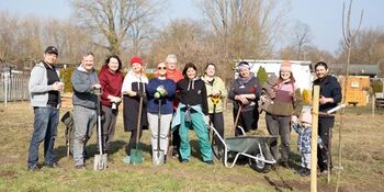 Deutschland summt!-Pflanzwettbewerbs 2025: Foto eines Gewinnerbeitrags