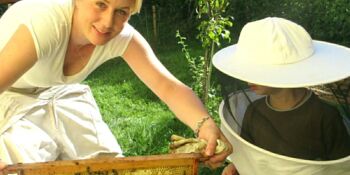 Deutschland summt!-Pflanzwettbewerb 2016, Gewinner*innen