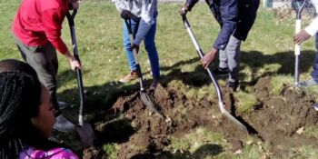 Deutschland summt!-Pflanzwettbewerb 2017, Frühling, Gewinner*innen