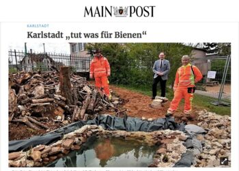 Bericht zum Pflanzwettbewerb 2021 in Main-Post