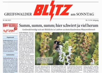 Screenshot Bericht Pflanzwettbewerb 2023 Screenshot Bericht Pflanzwettbewerb 2023