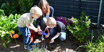 Deutschland summt!-Pflanzwettbewerbs 2025: Foto eines Gewinnerbeitrags