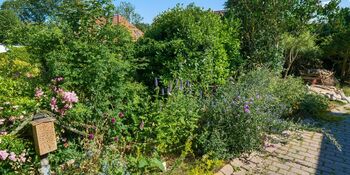 Deutschland summt!-Pflanzwettbewerbs 2025: Foto eines Gewinnerbeitrags