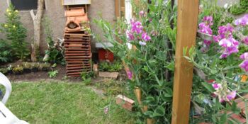 Deutschland summt!-Pflanzwettbewerb 2017, Frühling, Gewinner*innen