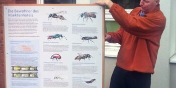 Deutschland summt!-Pflanzwettbewerb 2017, Frühling, Gewinner*innen