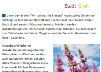 Screenshot Bericht Pflanzwettbewerb 2024 Screenshot Bericht Pflanzwettbewerb 2024