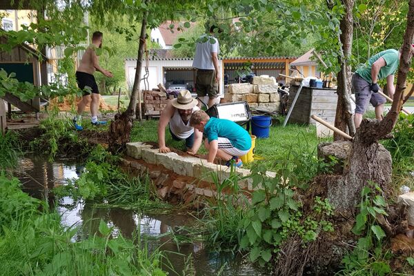 Deutschland summt!-Pflanzwettbewerbs 2025: Foto eines Gewinnerbeitrags