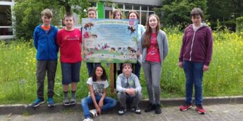 Deutschland summt!-Pflanzwettbewerb 2016, Gewinner*innen