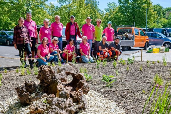 Deutschland summt!-Pflanzwettbewerbs 2026: Foto eines Gewinnerbeitrags