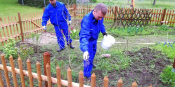 Deutschland summt!-Pflanzwettbewerb 2016, Gewinner*innen