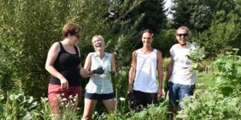 Deutschland summt!-Pflanzwettbewerb 2017, Sommer, Gewinner*innen