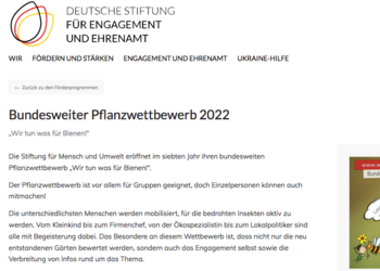 Bericht zum Pflanzwettbewerb 2022, Deutsche Stiftung für Engagment und Ehrenamt Bericht zum Pflanzwettbewerb 2022, Deutsche Stiftung für Engagment und Ehrenamt