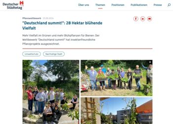 Deutschland summt!-Pflanzwettbewerb 2024: Presse-Echo Deutschland summt!-Pflanzwettbewerb 2024: Presse-Echo