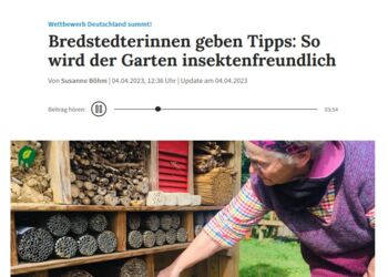 Screenshot Bericht Pflanzwettbewerb 2023 Screenshot Bericht Pflanzwettbewerb 2023