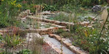 Deutschland summt!-Pflanzwettbewerb 2017, Sommer, Gewinner*innen