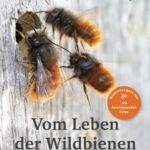 Vom Leben der Wildbienen, Cover