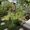 © BioGartenLiving