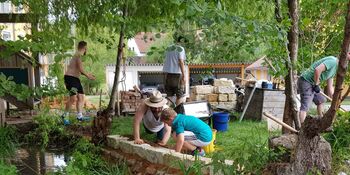 Deutschland summt!-Pflanzwettbewerbs 2025: Foto eines Gewinnerbeitrags