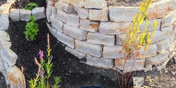 Deutschland summt!-Pflanzwettbewerbs 2025: Foto eines Gewinnerbeitrags