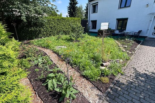 Deutschland summt!-Pflanzwettbewerbs 2026: Foto eines Gewinnerbeitrags