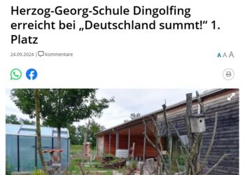 Deutschland summt!-Pflanzwettbewerb 2024: Presse-Echo Deutschland summt!-Pflanzwettbewerb 2024: Presse-Echo