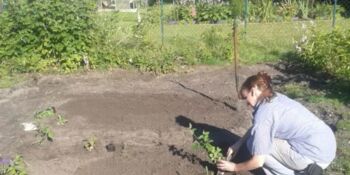 Deutschland summt!-Pflanzwettbewerb 2017, Sommer, Gewinner*innen