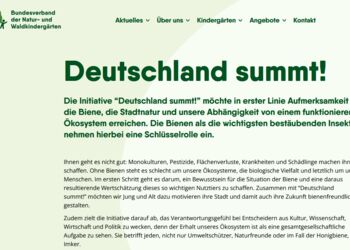 Screenshot Bericht Pflanzwettbewerb 2024 Screenshot Bericht Pflanzwettbewerb 2024
