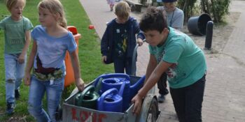 Deutschland summt!-Pflanzwettbewerb 2017, Sommer, Gewinner*innen