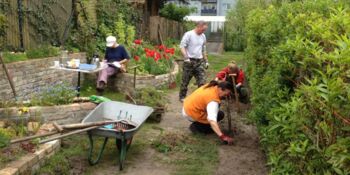 Deutschland summt!-Pflanzwettbewerb 2017, Frühling, Gewinner*innen