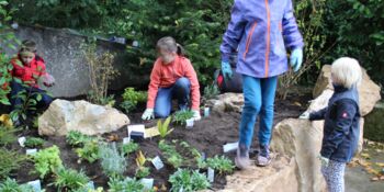 Deutschland summt!-Pflanzwettbewerb 2016, Gewinner*innen