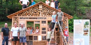 Deutschland summt!-Pflanzwettbewerb 2017, Sommer, Gewinner*innen